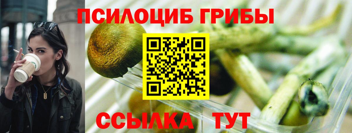 Галлюциногенные грибы мицелий  где купить наркоту  Вход с VPN  Великий Новгород  Псилоцибиновые грибы мухоморы 