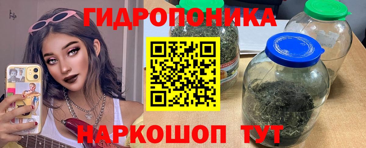 Великий Новгород  МАРИХУАНА марихуана  МАРИХУАНА сатива  Вход с VPN  Марихуана сатива 